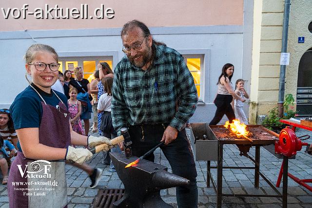 Foto Laudi Donaugassenfest-46.jpg